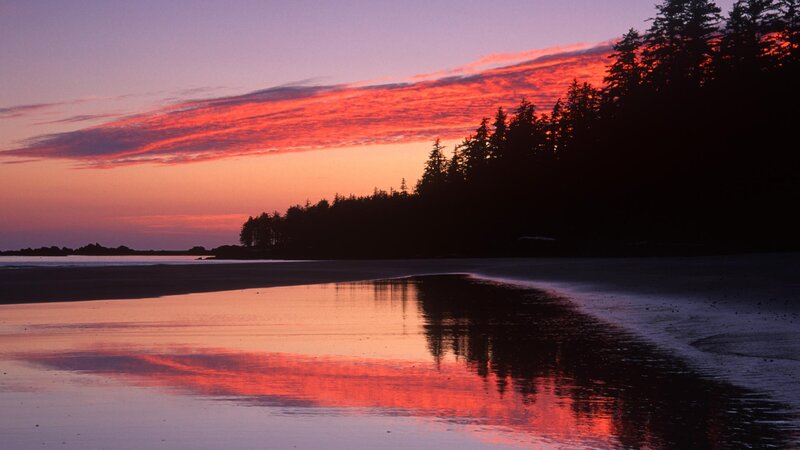 sunset over coastal forest