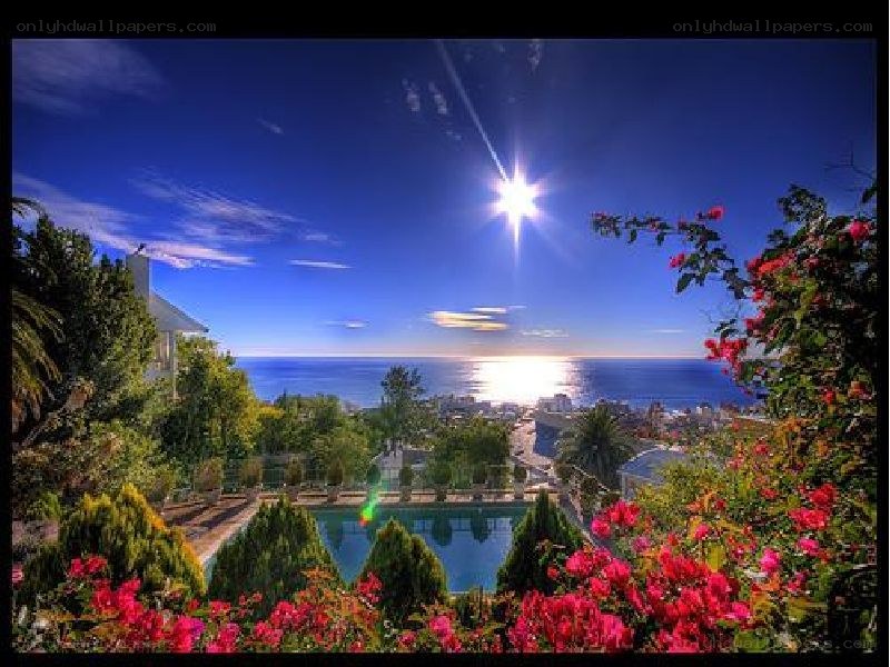 Sunset over coastal garden