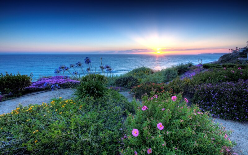 Sunset over coastal garden