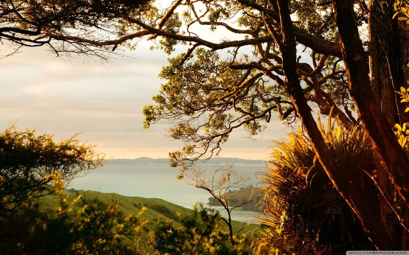 Sunset over coastal hills