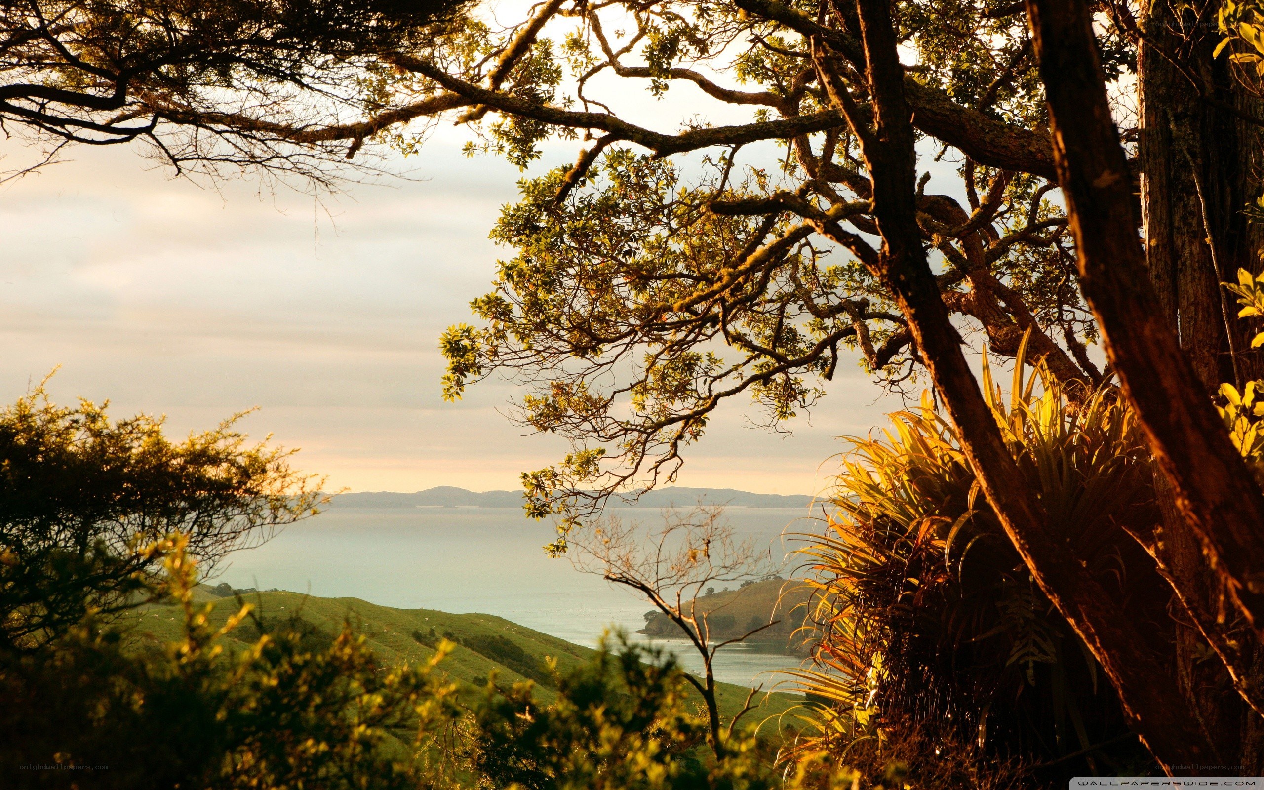 Sunset over coastal hills