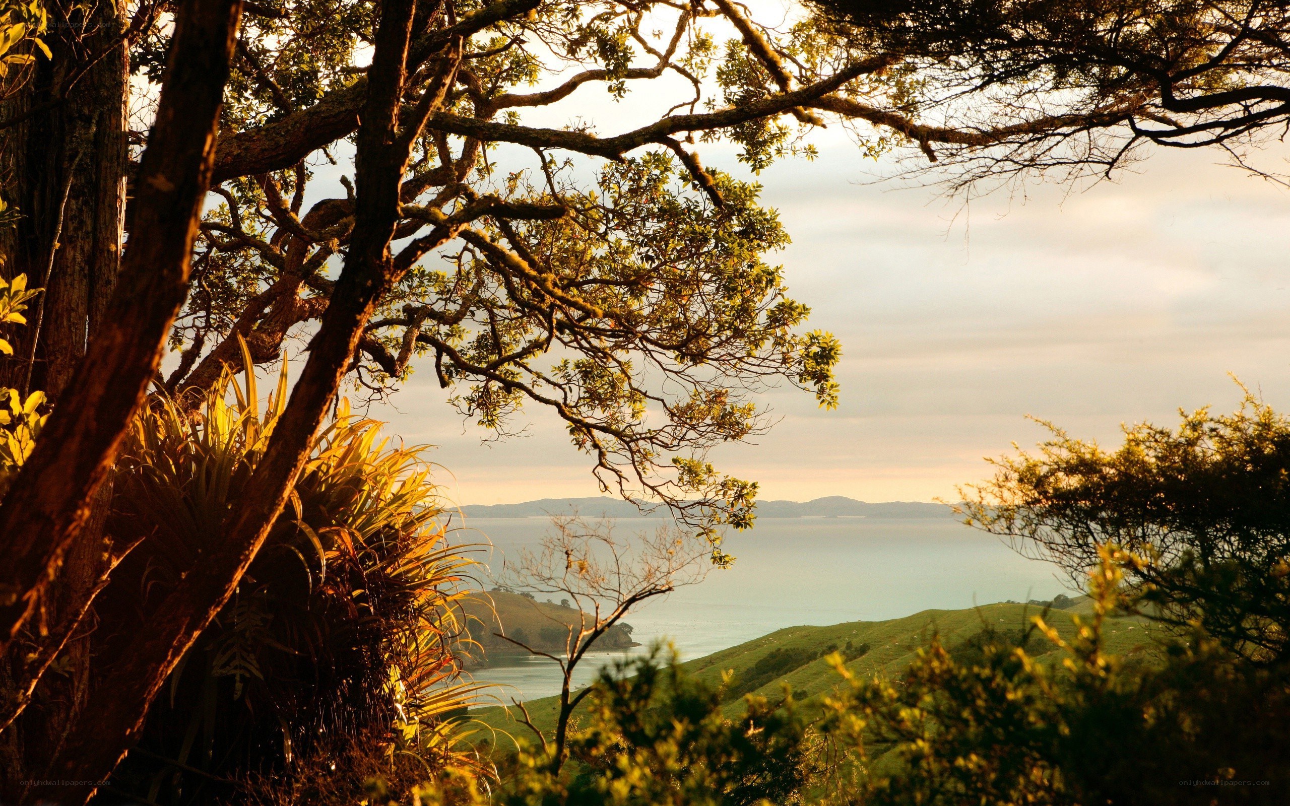 Sunset over coastal hills
