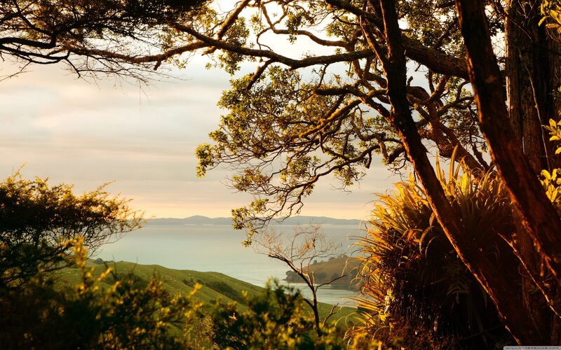 Sunset over coastal hills