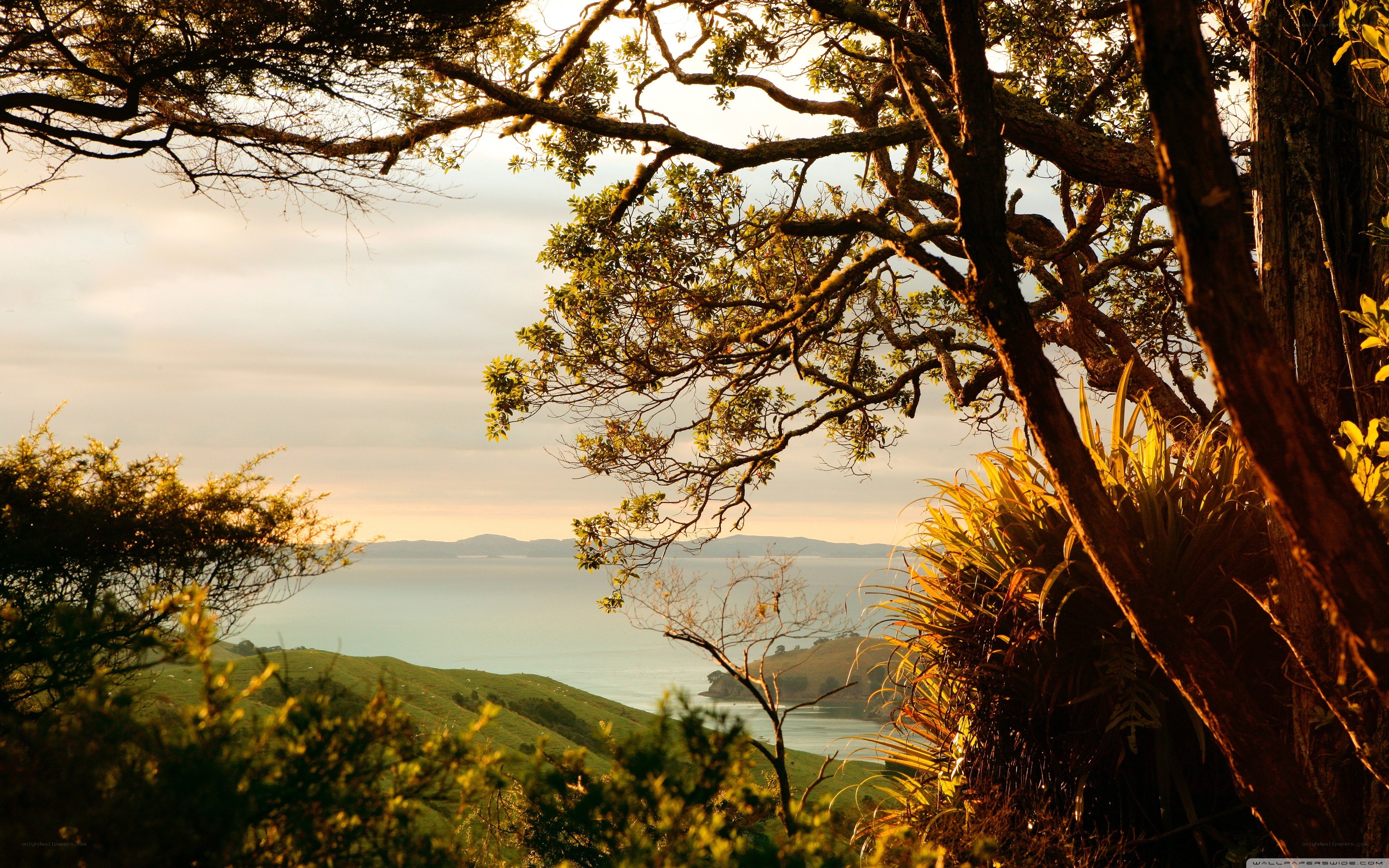 Sunset over coastal hills