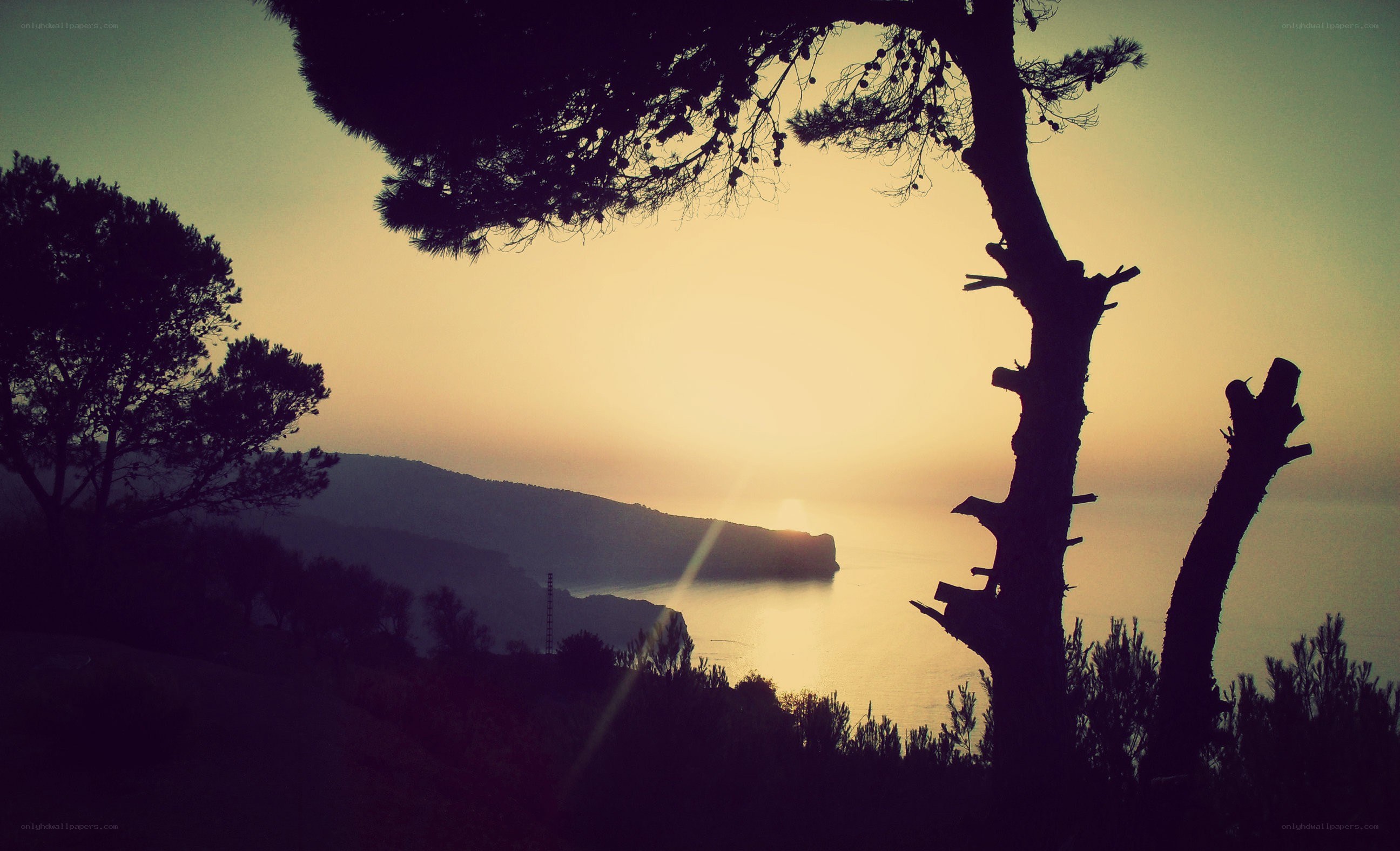sunset over coastal hills