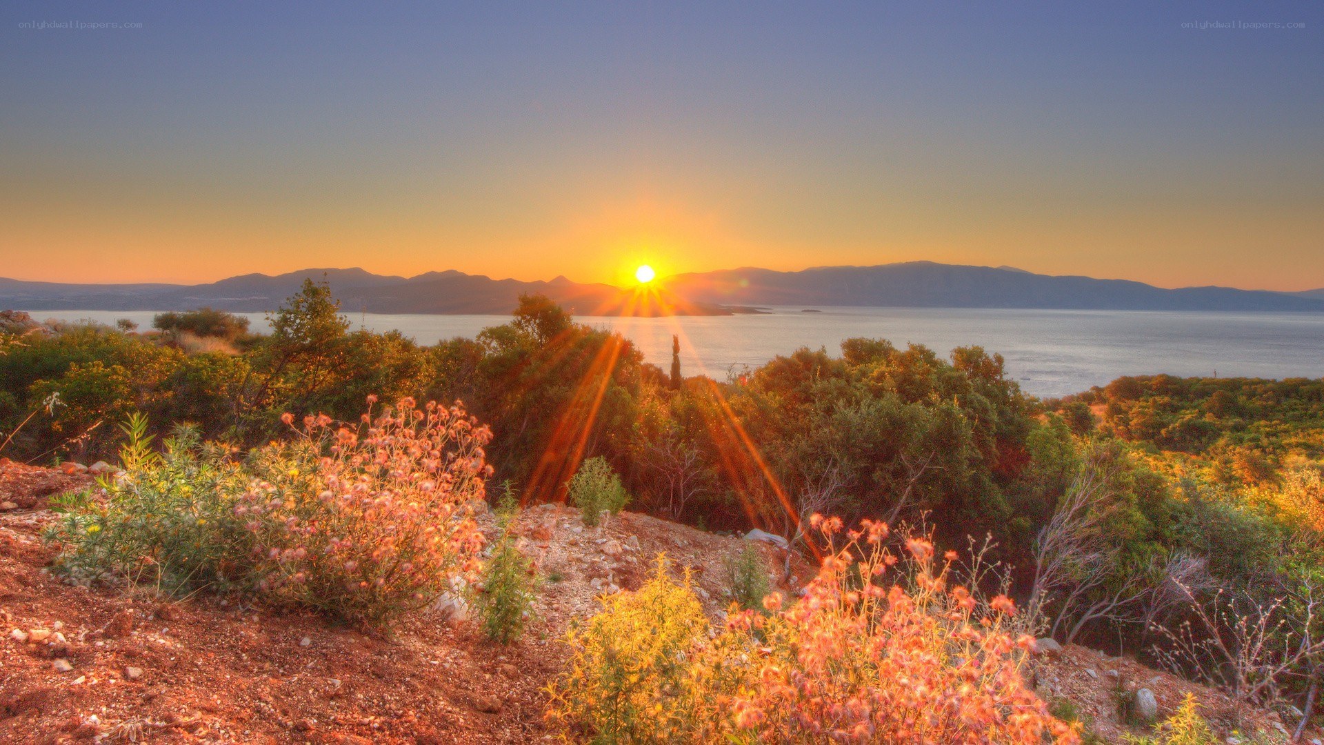 Sunset over coastal hills