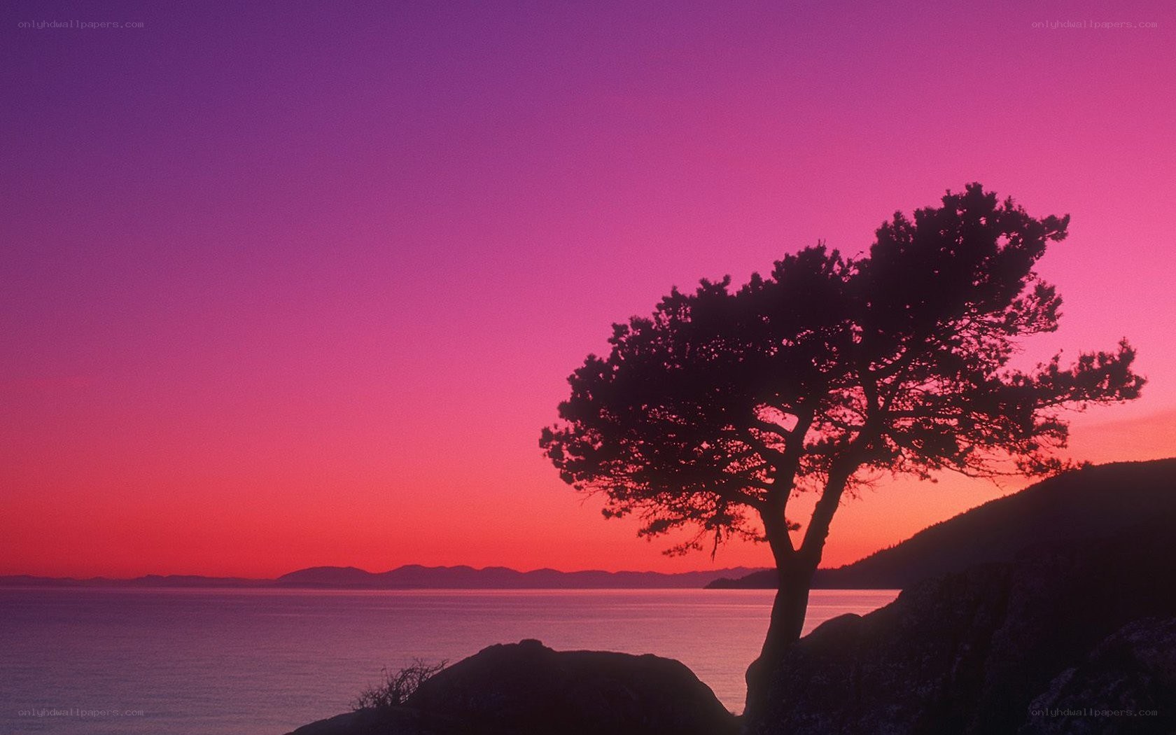 sunset over coastal landscape