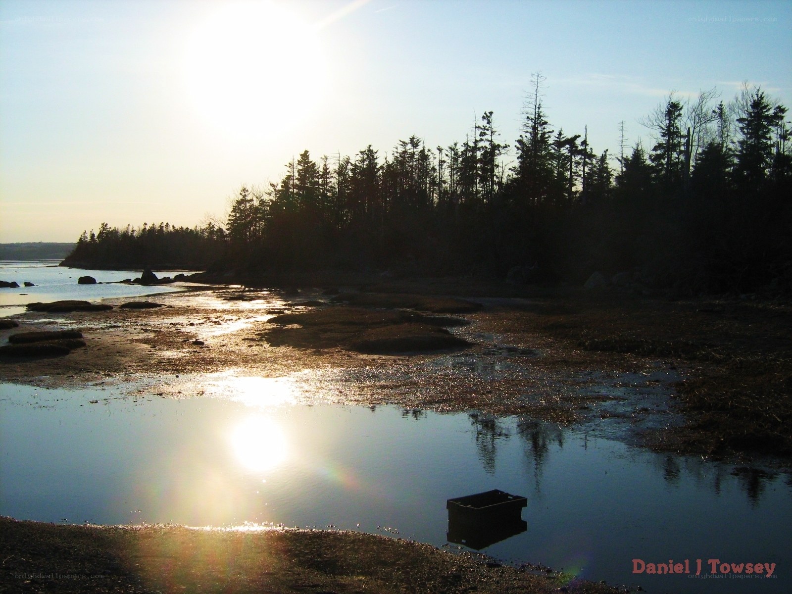 Sunset over coastal marsh