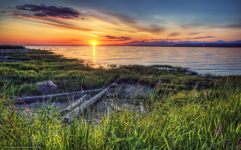 Sunset over coastal marsh