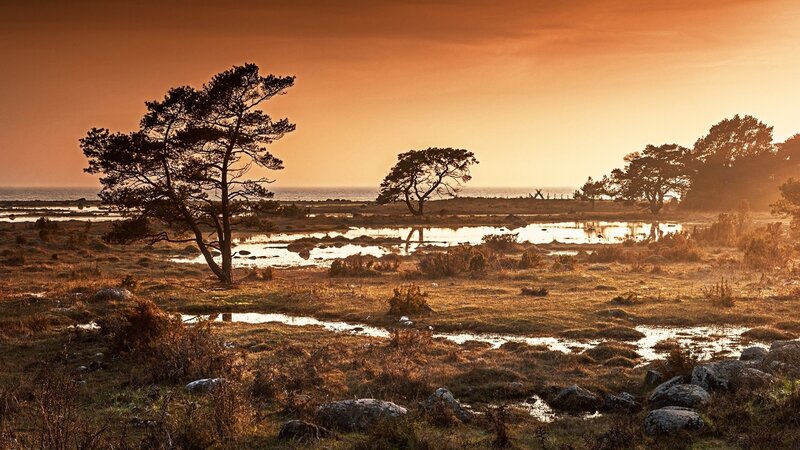 Sunset over coastal marsh