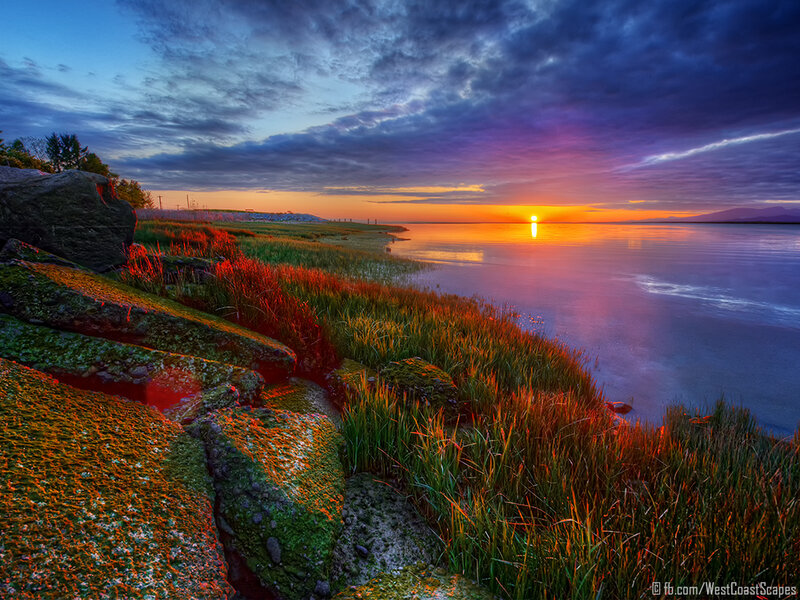 Sunset over Coastal Marsh — Orange, Dramatic