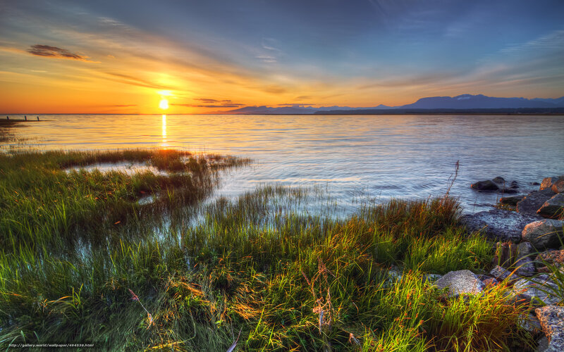 Sunset over Coastal Marsh — Orange, Serene, Photograph, Sun