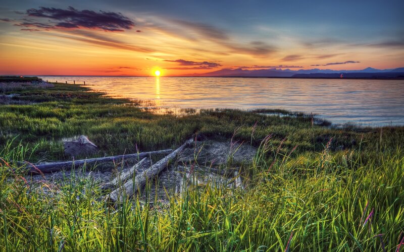 Sunset over coastal marsh