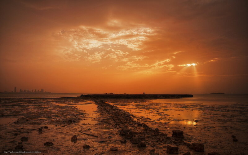 Sunset over Coastal Mudflats — Orange