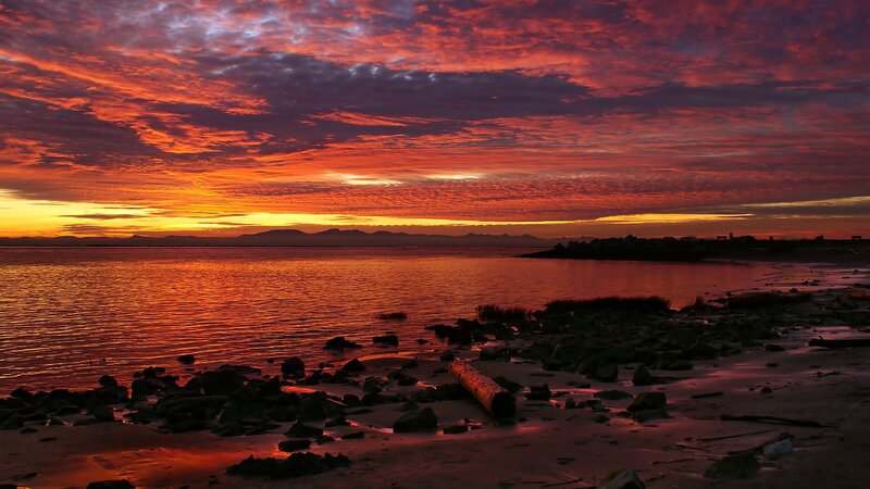 Sunset over Coastal Shore — Red