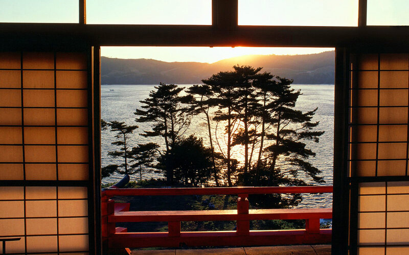 sunset over coastal trees