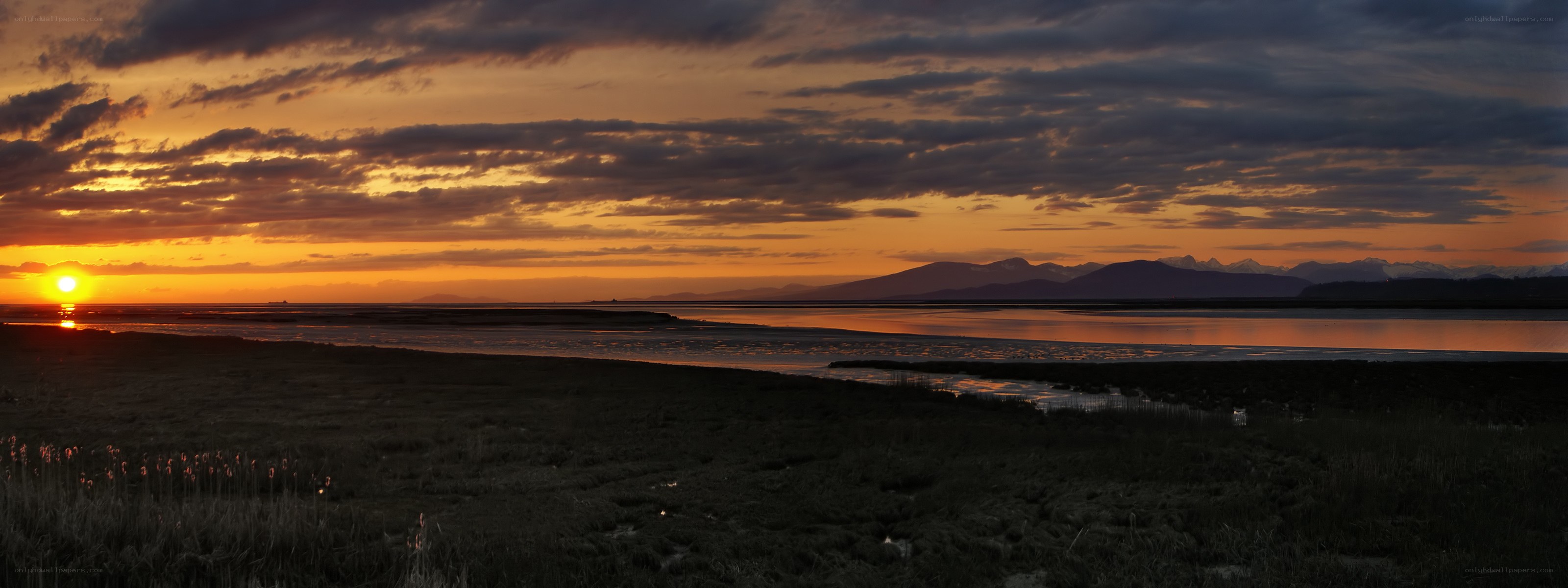 Sunset over coastal wetlands