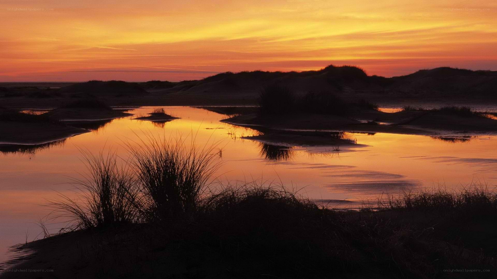 sunset over coastal wetlands