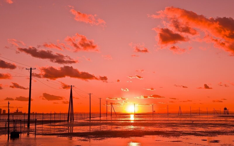 sunset over coastal wetlands