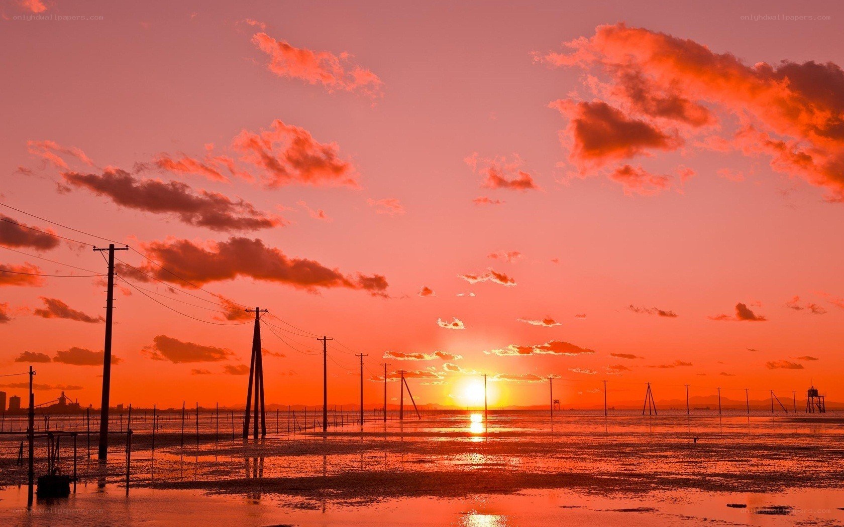 sunset over coastal wetlands