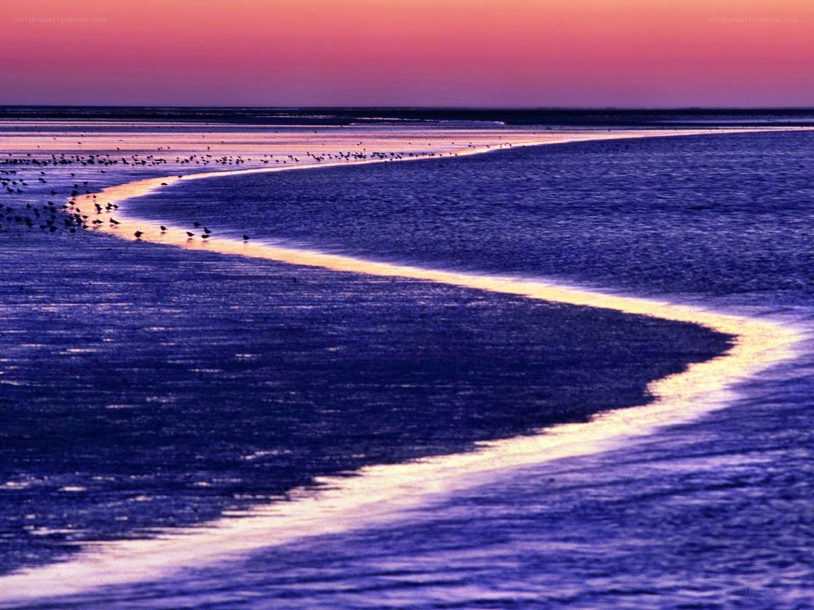 Sunset over coastal wetlands