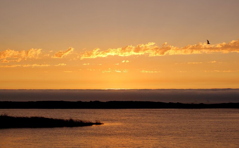 Sunset over coastal wetlands