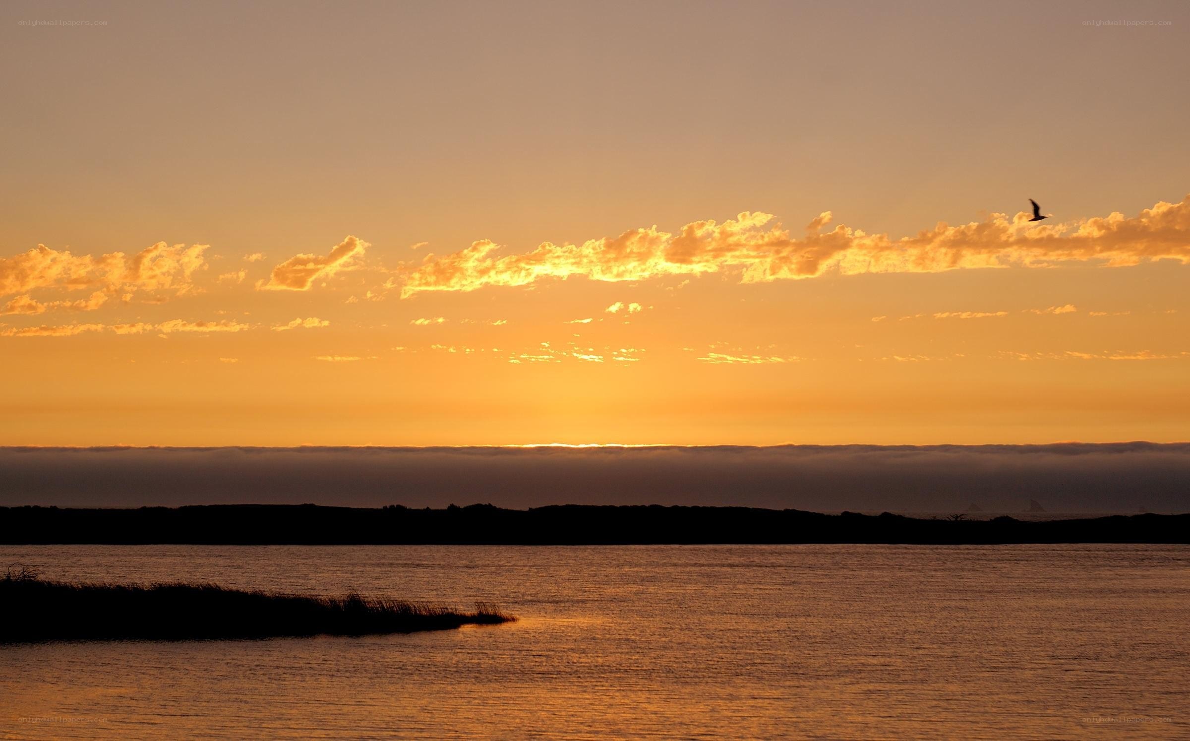 Sunset over coastal wetlands