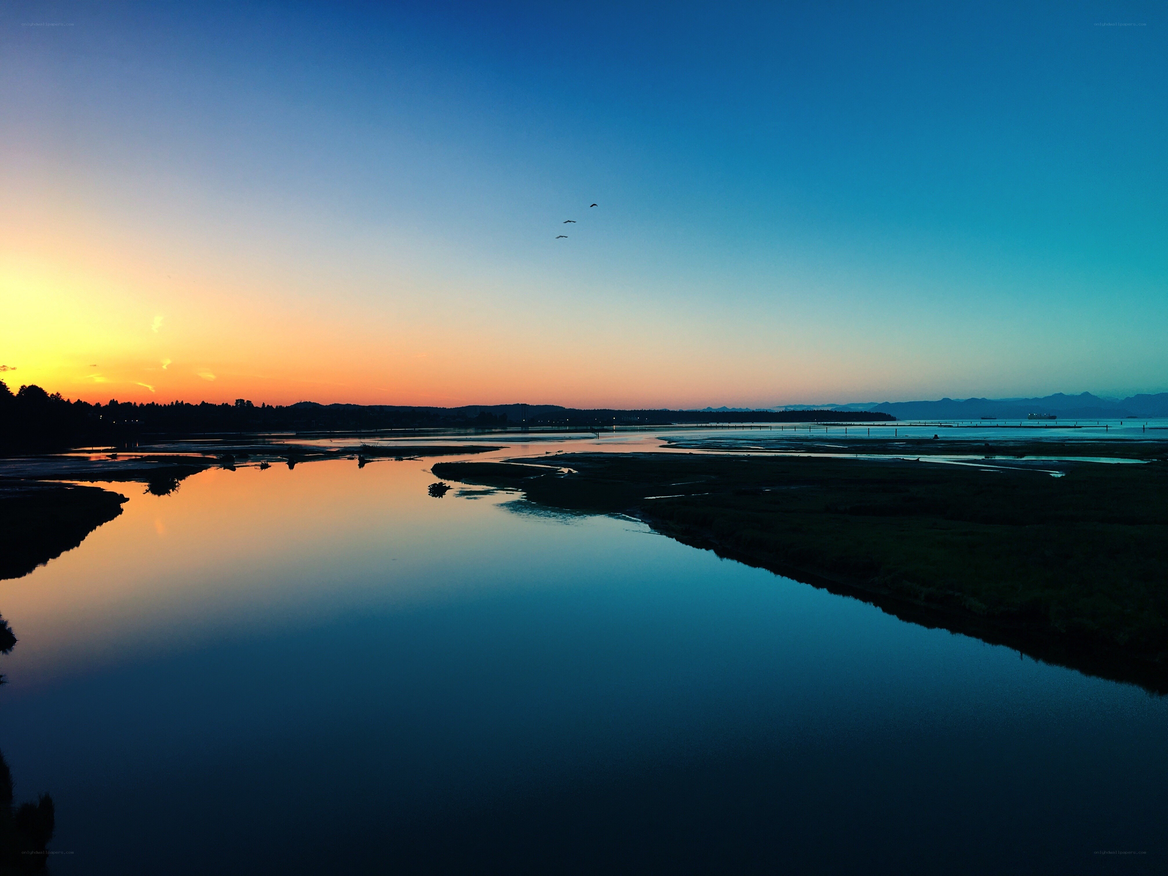 sunset over coastal wetlands