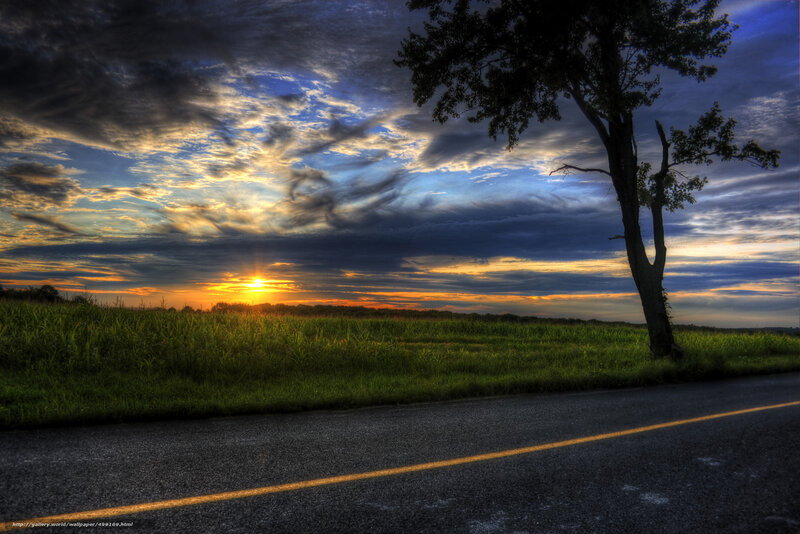 Sunset over Cornfield — Blue, Dramatic