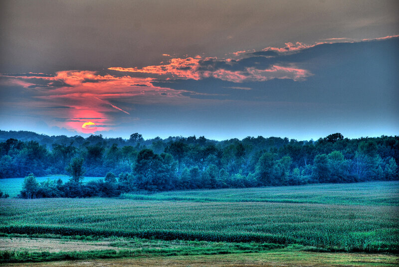 Sunset over Cornfield — Blue