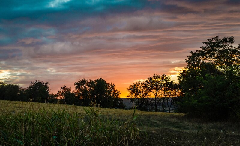Sunset over Cornfield — Orange, Serene