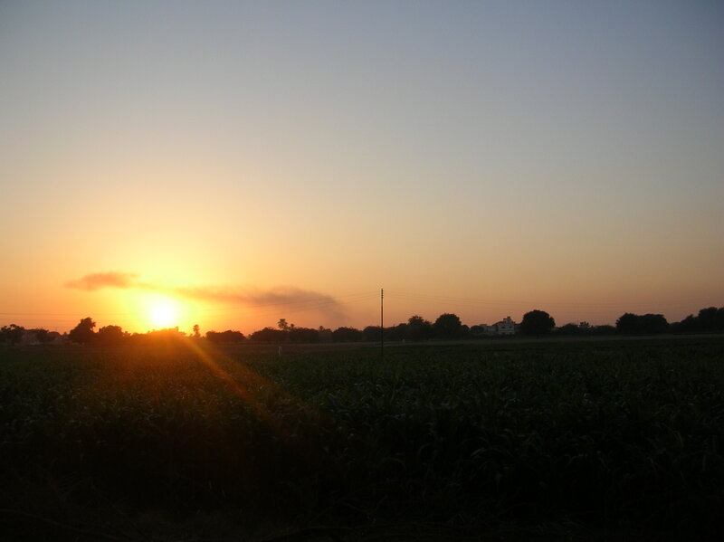 Sunset over Cornfield — Orange