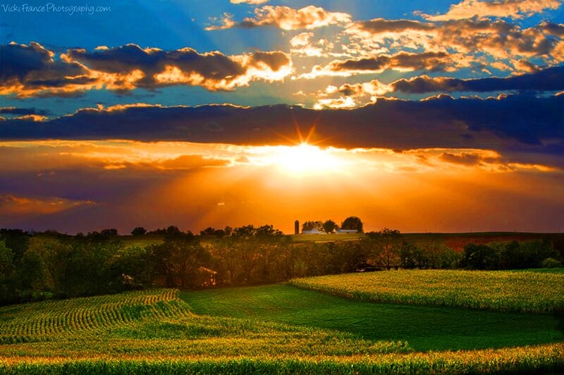 Sunset over Cornfields