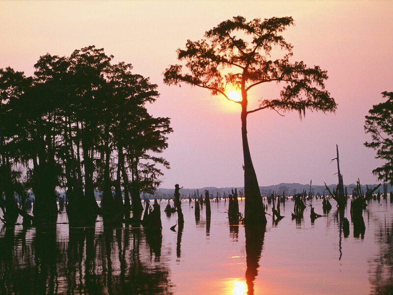 Sunset over cypress swamp