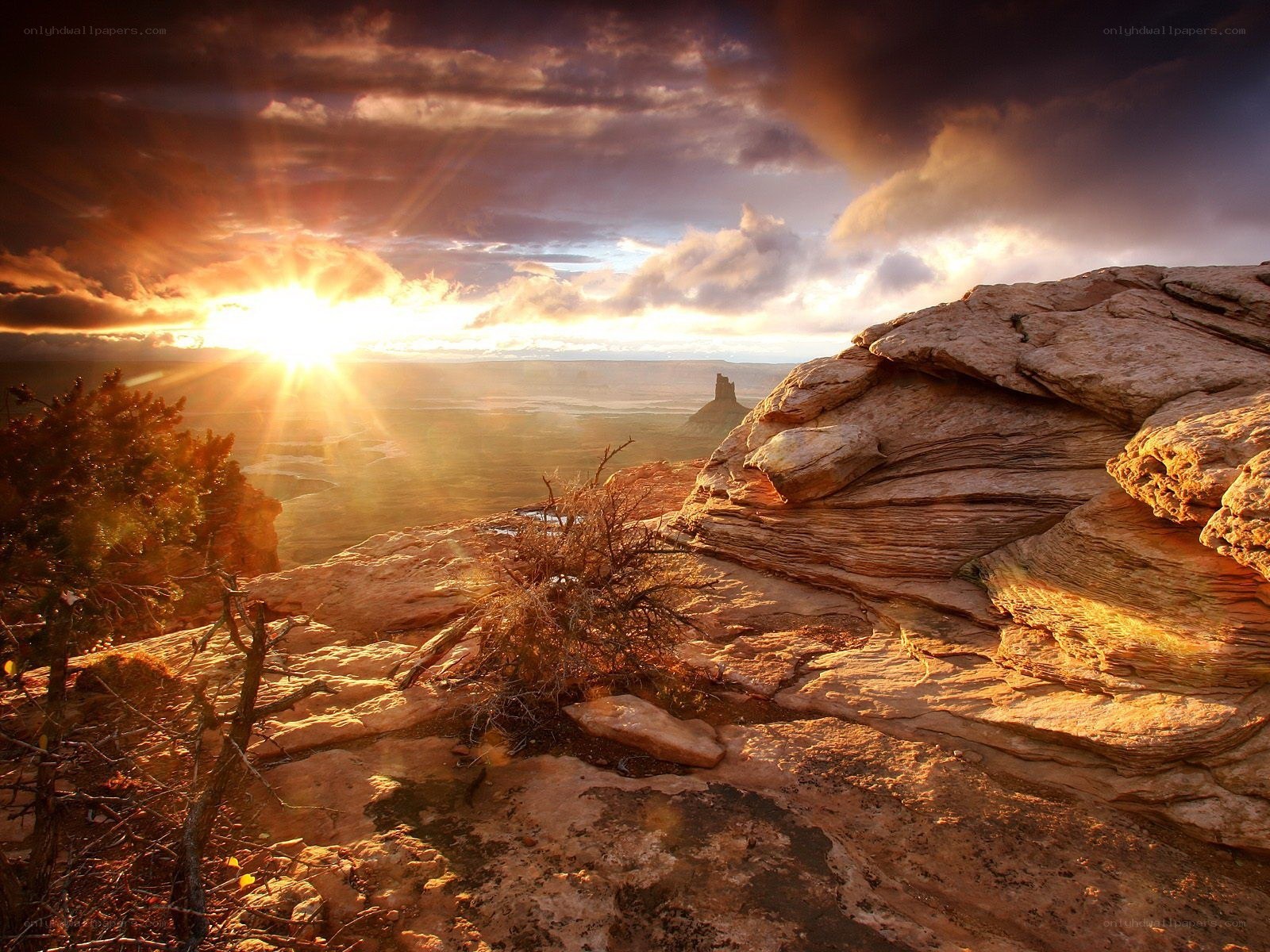 Sunset over desert canyon