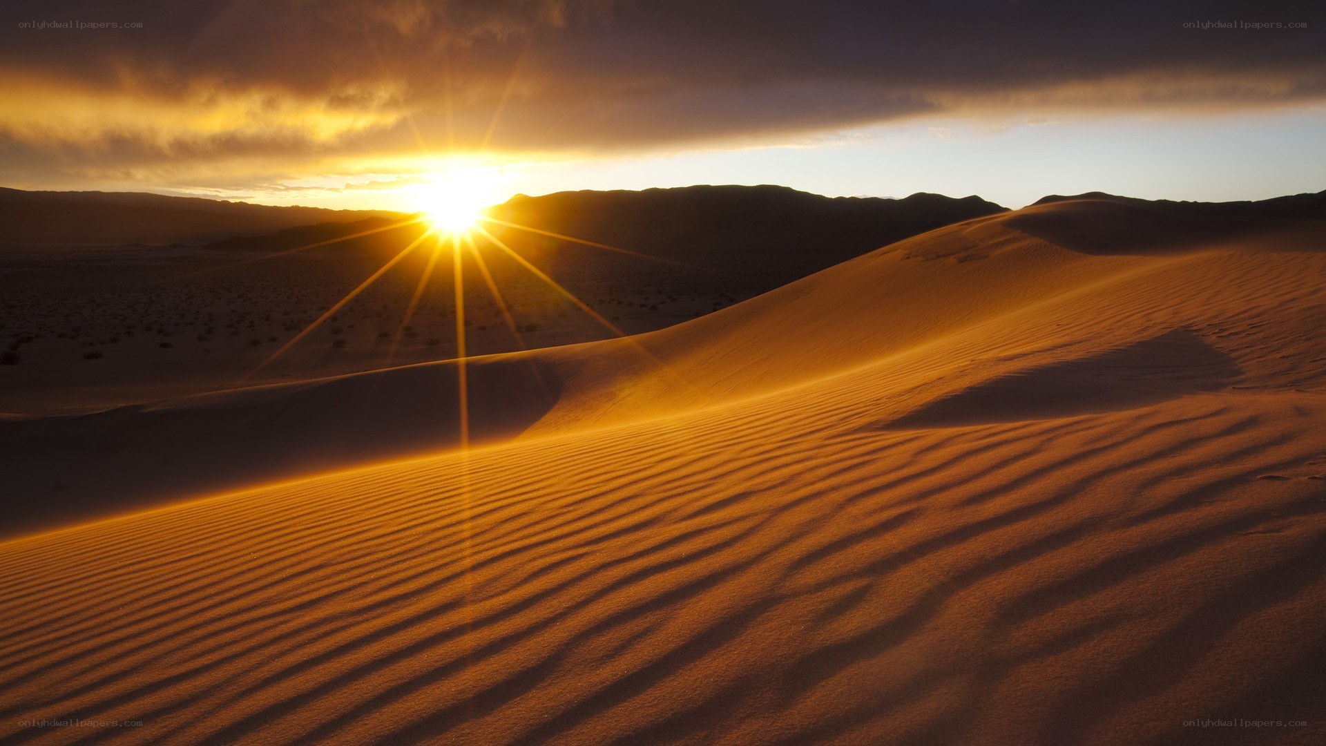 Sunset over desert dunes