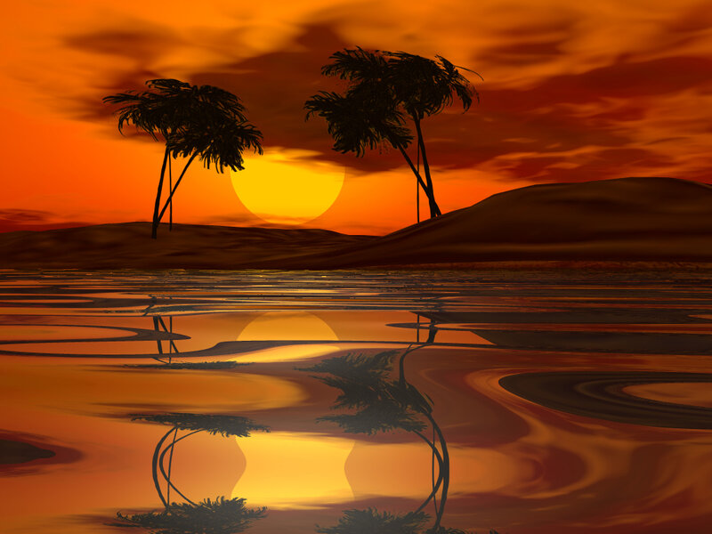 sunset over desert oasis