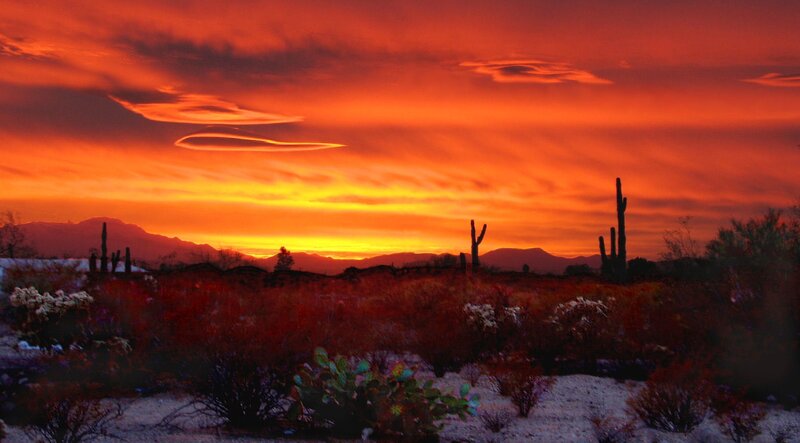 Sunset over Desert — Orange, Dramatic, Photograph, Cactus