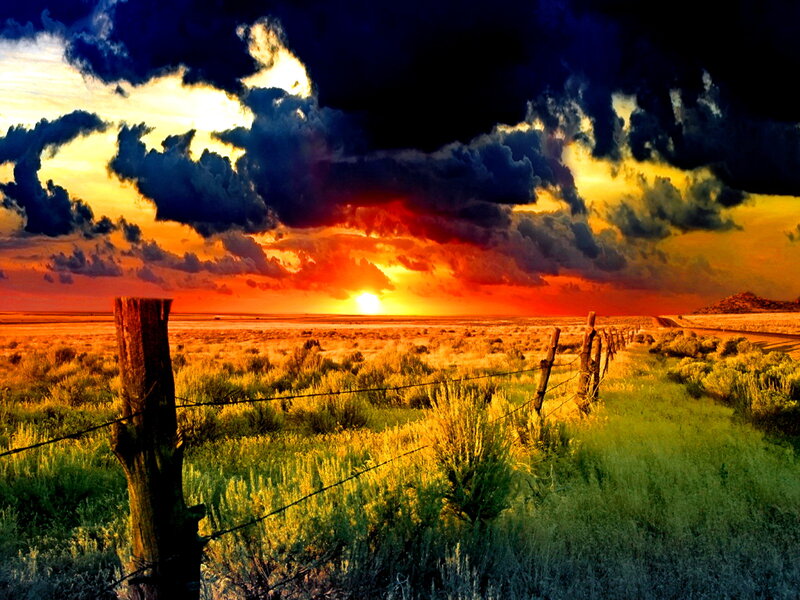 Sunset over Desert Plain