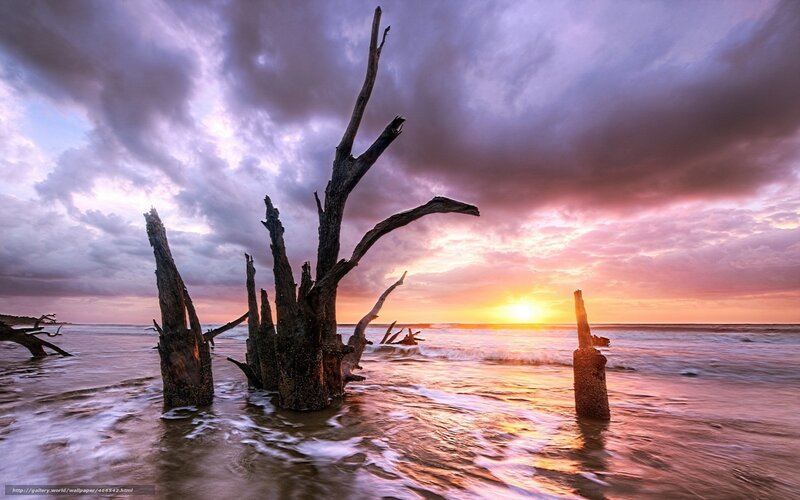 Sunset over Driftwood Beach