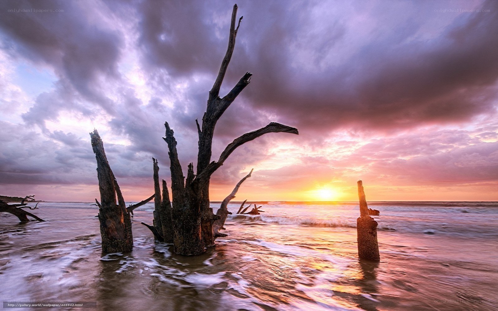 Sunset over Driftwood Beach