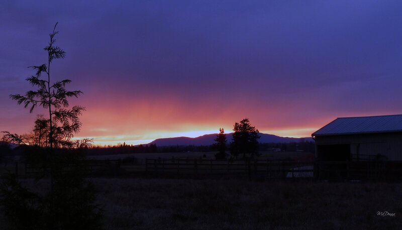 Sunset over Farm