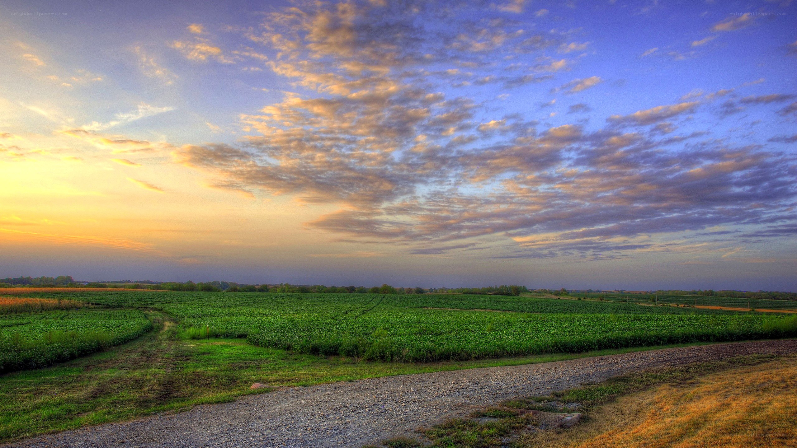Sunset over farmland fields