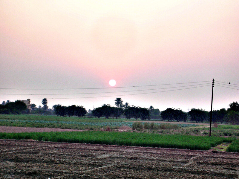 Sunset over Farmland — Pink