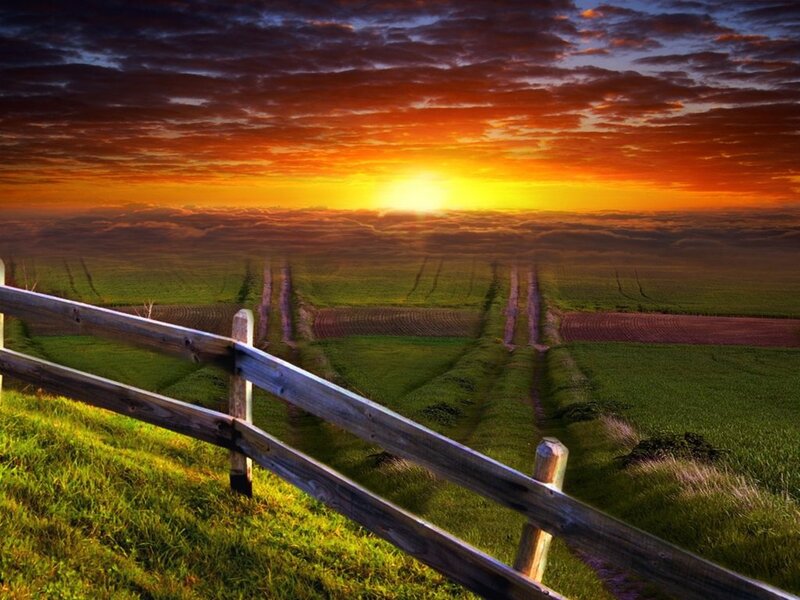 Sunset over Farmland