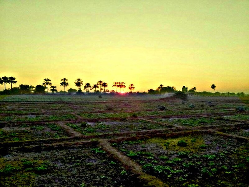Sunset over Farmland — Yellow