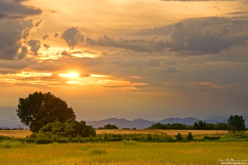 Sunset over Field and Mountains