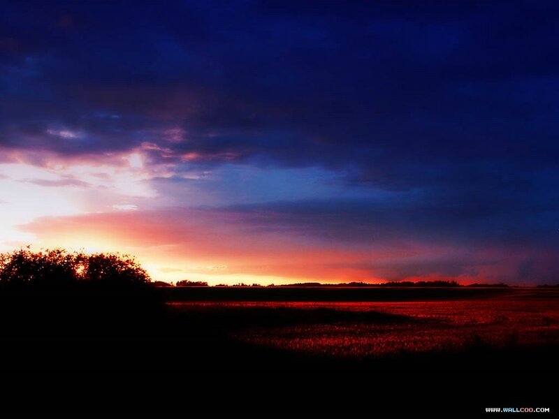 Sunset over Field — Blue, Dramatic, Photograph, Sky