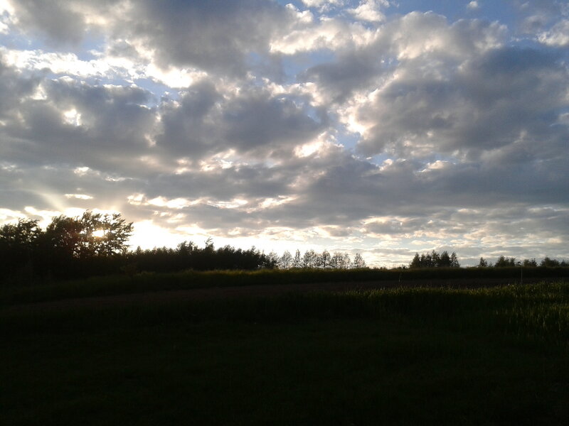 Sunset over Field — Blue, Dramatic