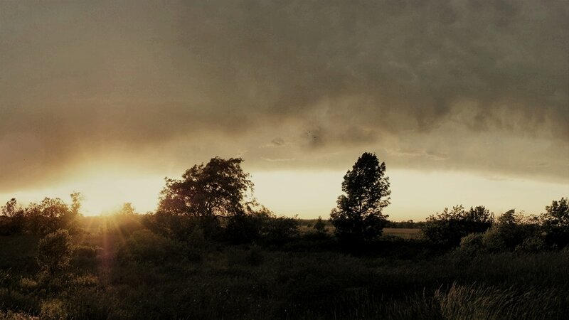 Sunset over Field — Brown